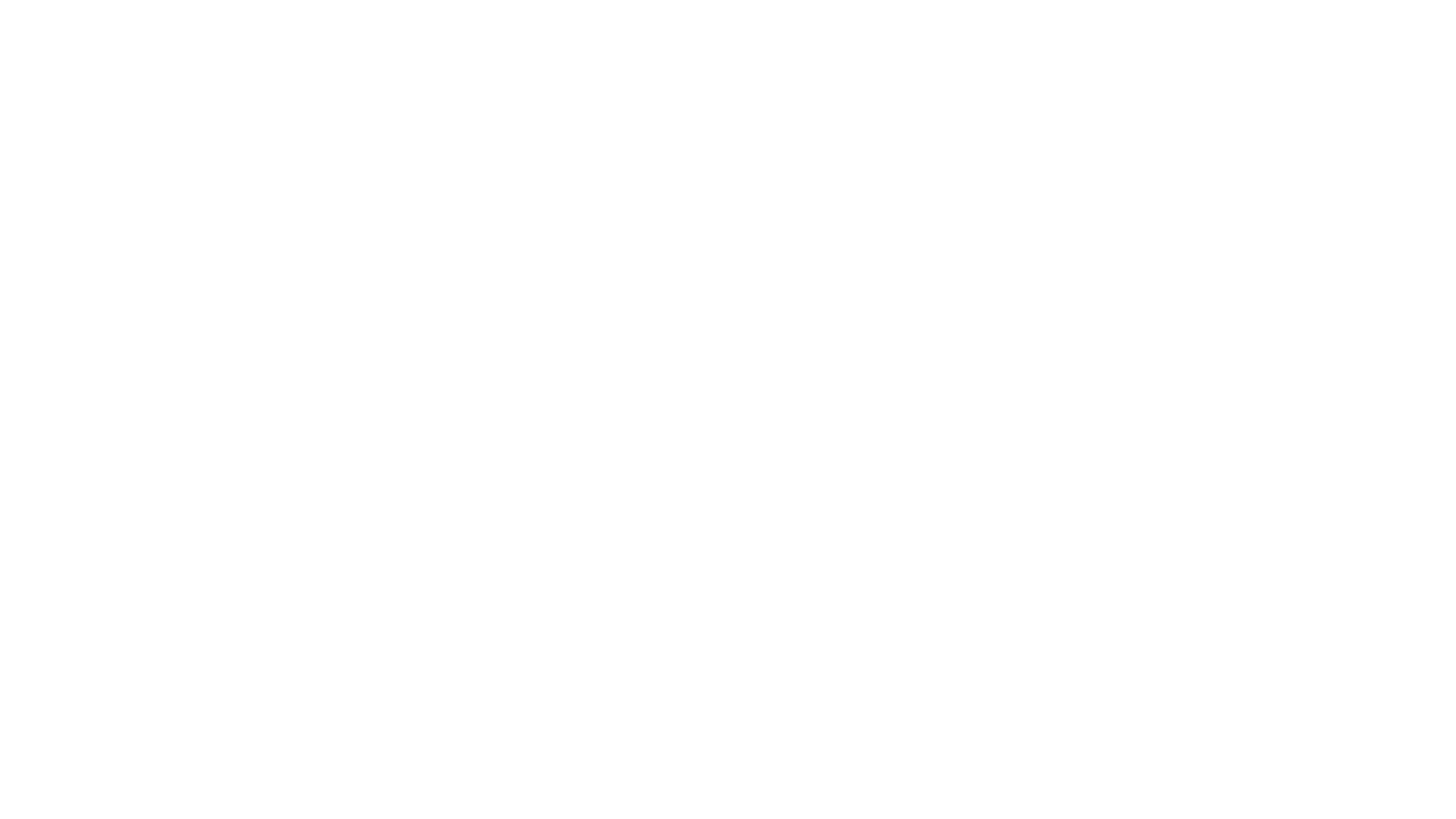 محصولات PIONEER